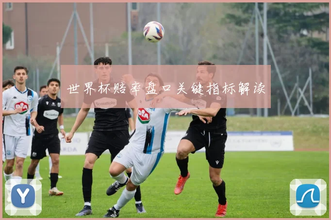 世界杯赔率盘口关键指标解读