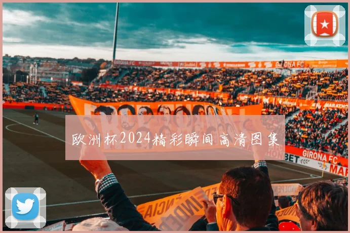 欧洲杯2024精彩瞬间高清图集