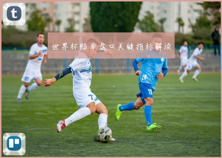 世界杯赔率盘口关键指标解读