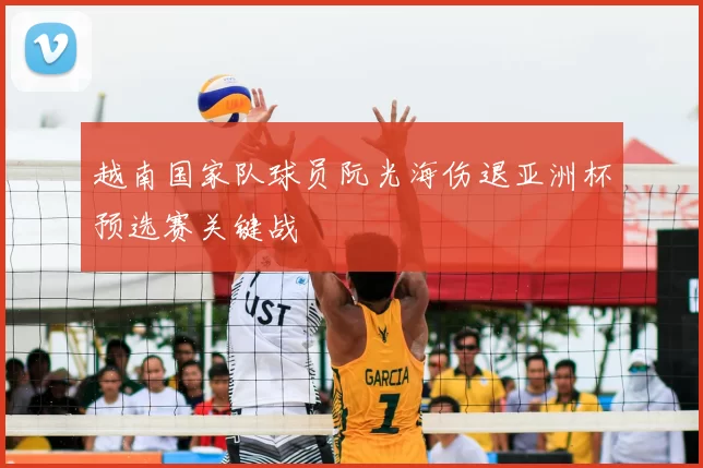 越南国家队球员阮光海伤退亚洲杯预选赛关键战