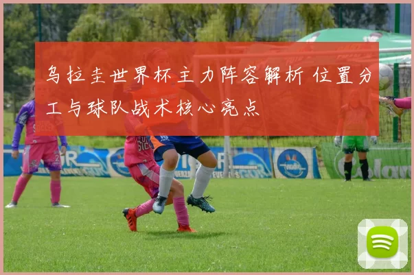 乌拉圭世界杯主力阵容解析 位置分工与球队战术核心亮点