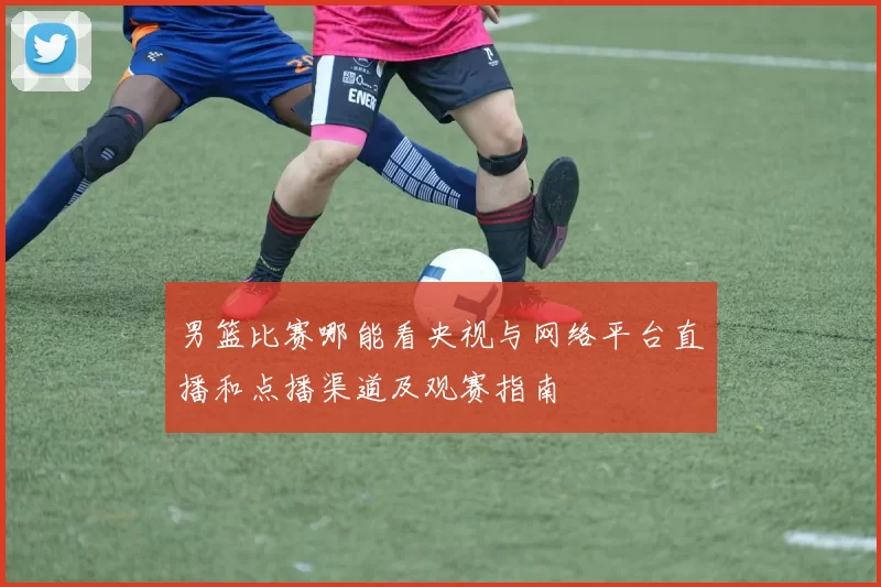 男篮比赛哪能看央视与网络平台直播和点播渠道及观赛指南