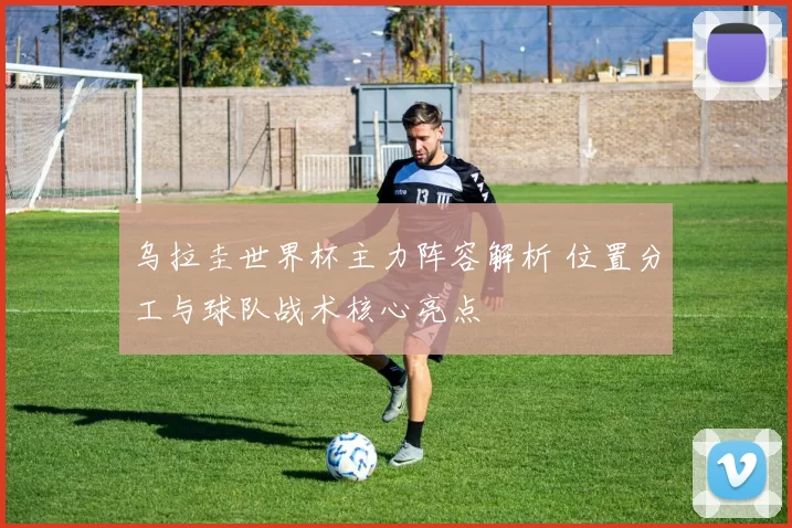 乌拉圭世界杯主力阵容解析 位置分工与球队战术核心亮点