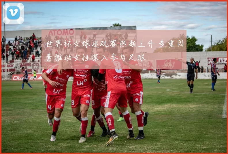 世界杯女球迷观赛热潮上升 多重因素推动女性深入参与足球