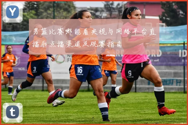 男篮比赛哪能看央视与网络平台直播和点播渠道及观赛指南